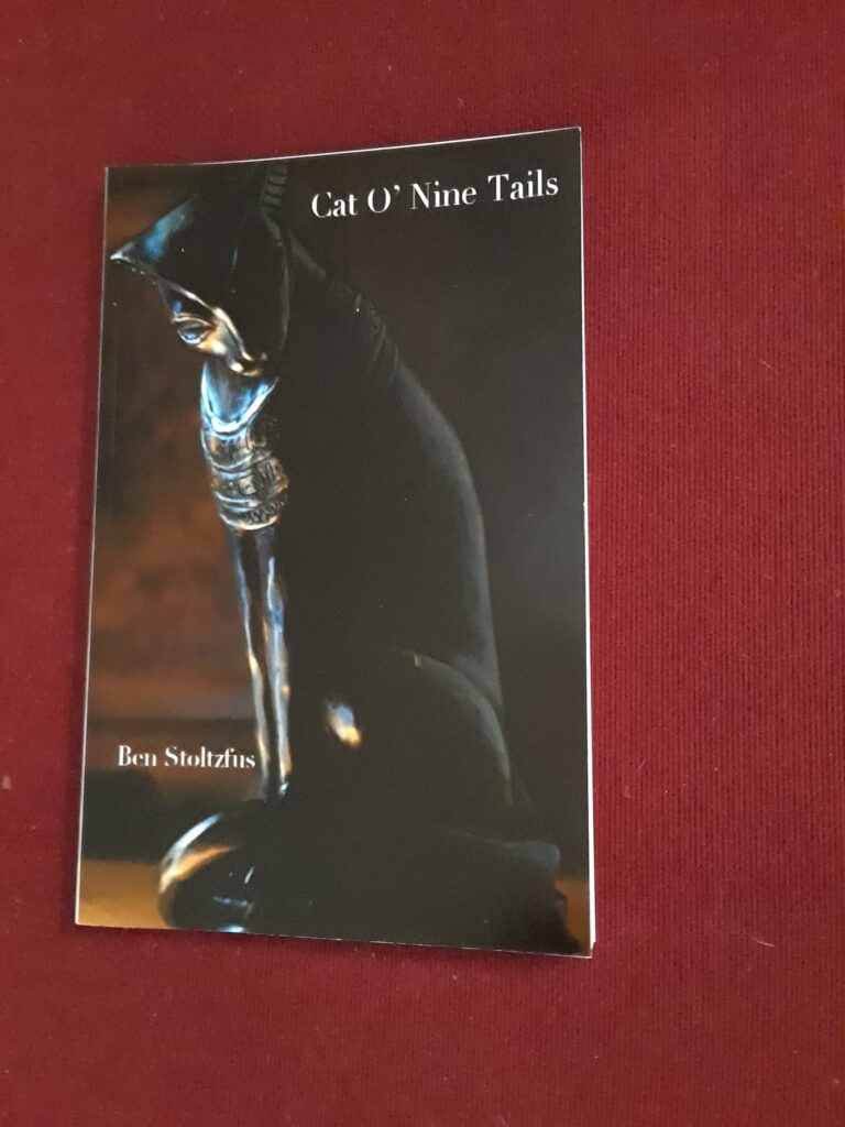 The front cover of Cat O' Nine Tails by Ben Stoltzfus