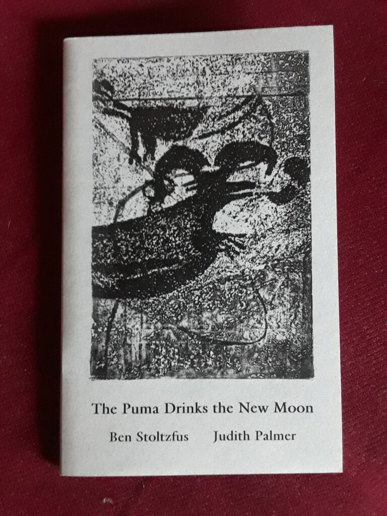 The front cover of The Puma Drinks the New Moon by Ben Stoltzfus